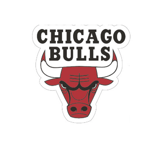 Chicago Bulls Magnet - PVC Logo - PSGLS0466747