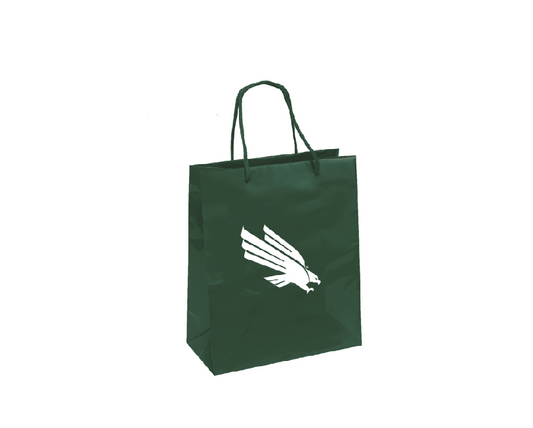 North Texas Mean Green Medium Gift Bag 10x12 Elegant Green - PSGLS0458845